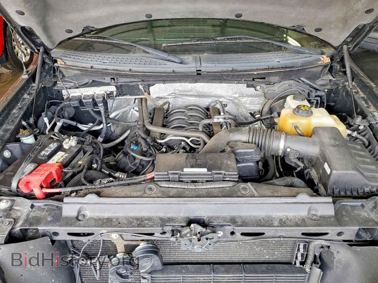 2013 FORD F150 - VIN: 1FTFW1EF7DFD99570 - Фото 11