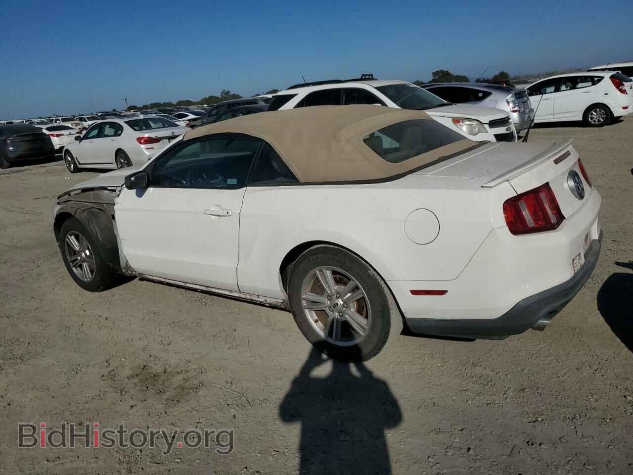2012 FORD ALL Models - VIN: 1ZVBP8EM4C5201886 - Фото 2