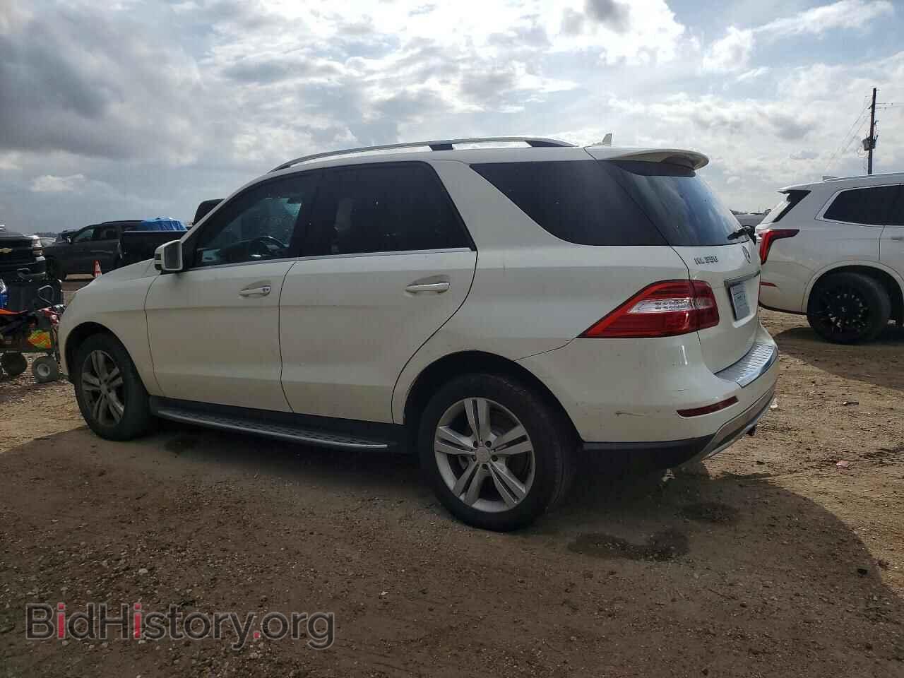 2013 MERCEDES-BENZ M-CLASS - VIN: 4JGDA5JB3DA146089 - Фото 2