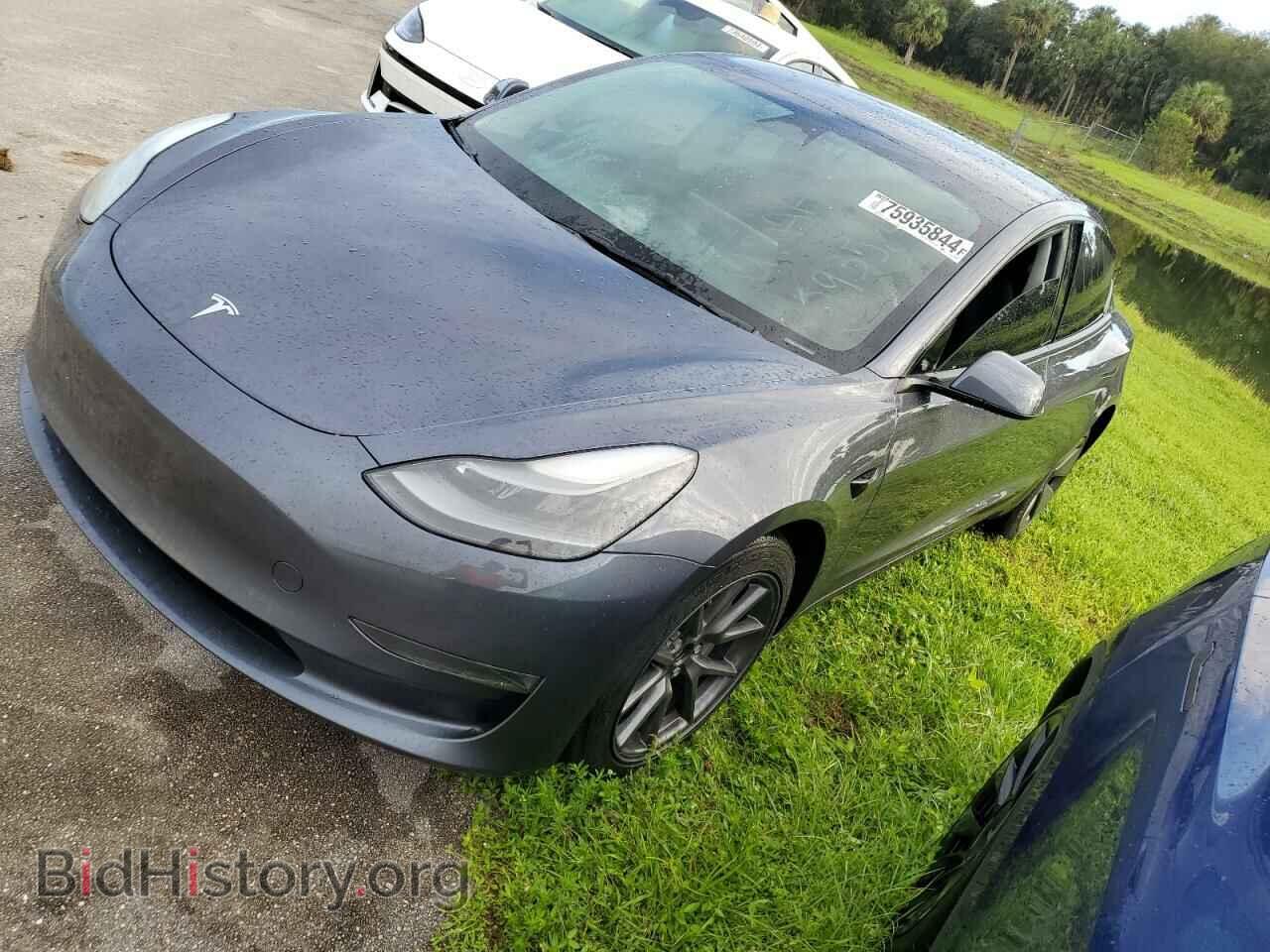 Фотография 5YJ3E1EA9PF434001 - TESLA MODEL 3 2023