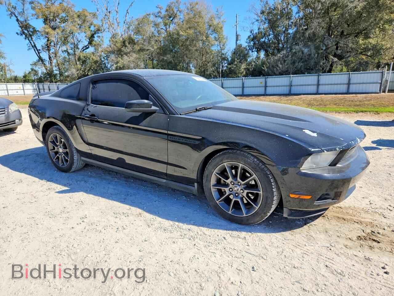 2011 FORD ALL Models - VIN: 1ZVBP8AM2B5147590 - Фото 4