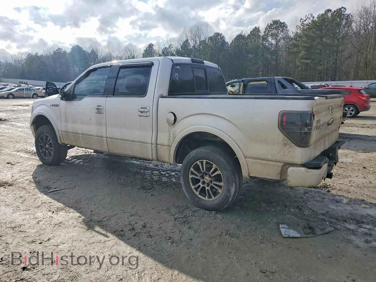 2011 FORD F-150 - VIN: 1FTFW1E64BFB31248 - Фото 2