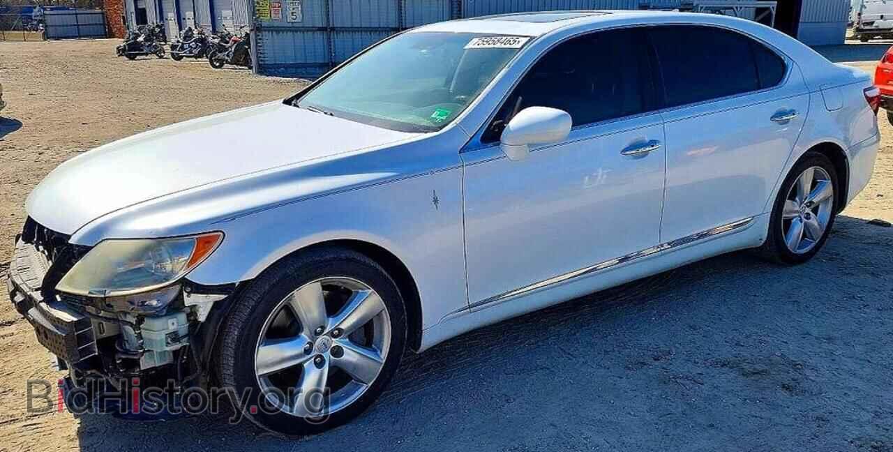Photo JTHGL46F195033788 - LEXUS LS460 2009