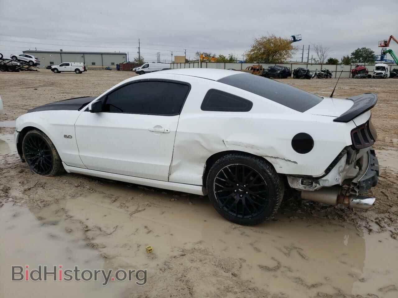 2014 FORD MUSTANG - VIN: 1ZVBP8CF8E5316434 - Фото 2