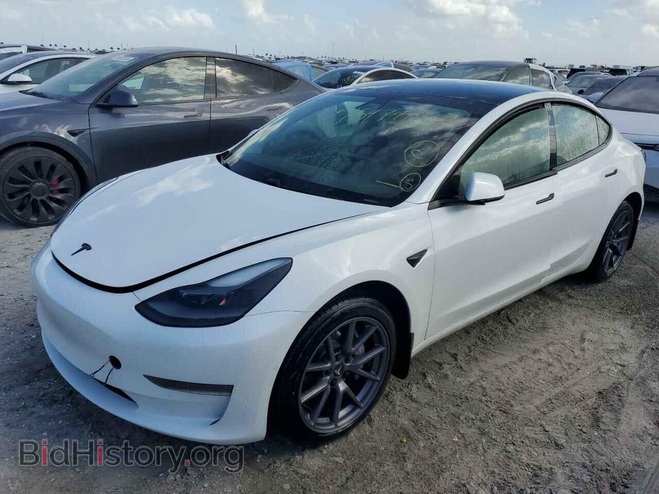 Photo 5YJ3E1EA8MF989033 - TESLA MODEL 3 2021