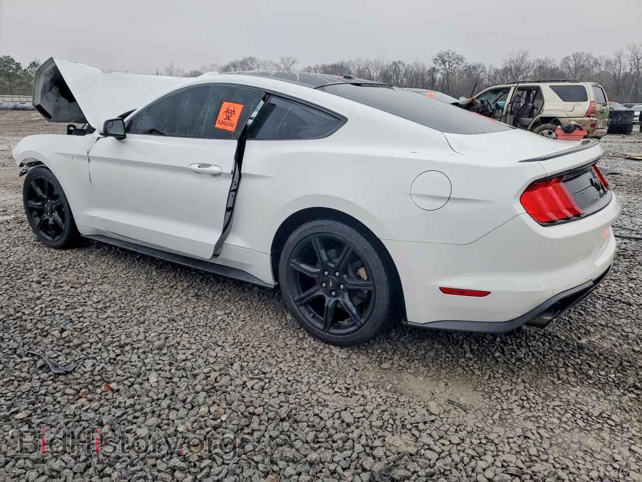2019 FORD MUSTANG - VIN: 1FA6P8TH6K5184488 - Фото 2