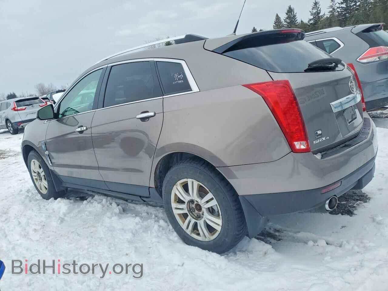 2011 CADILLAC SRX - VIN: 3GYFNFEY0BS631611 - Photo 2