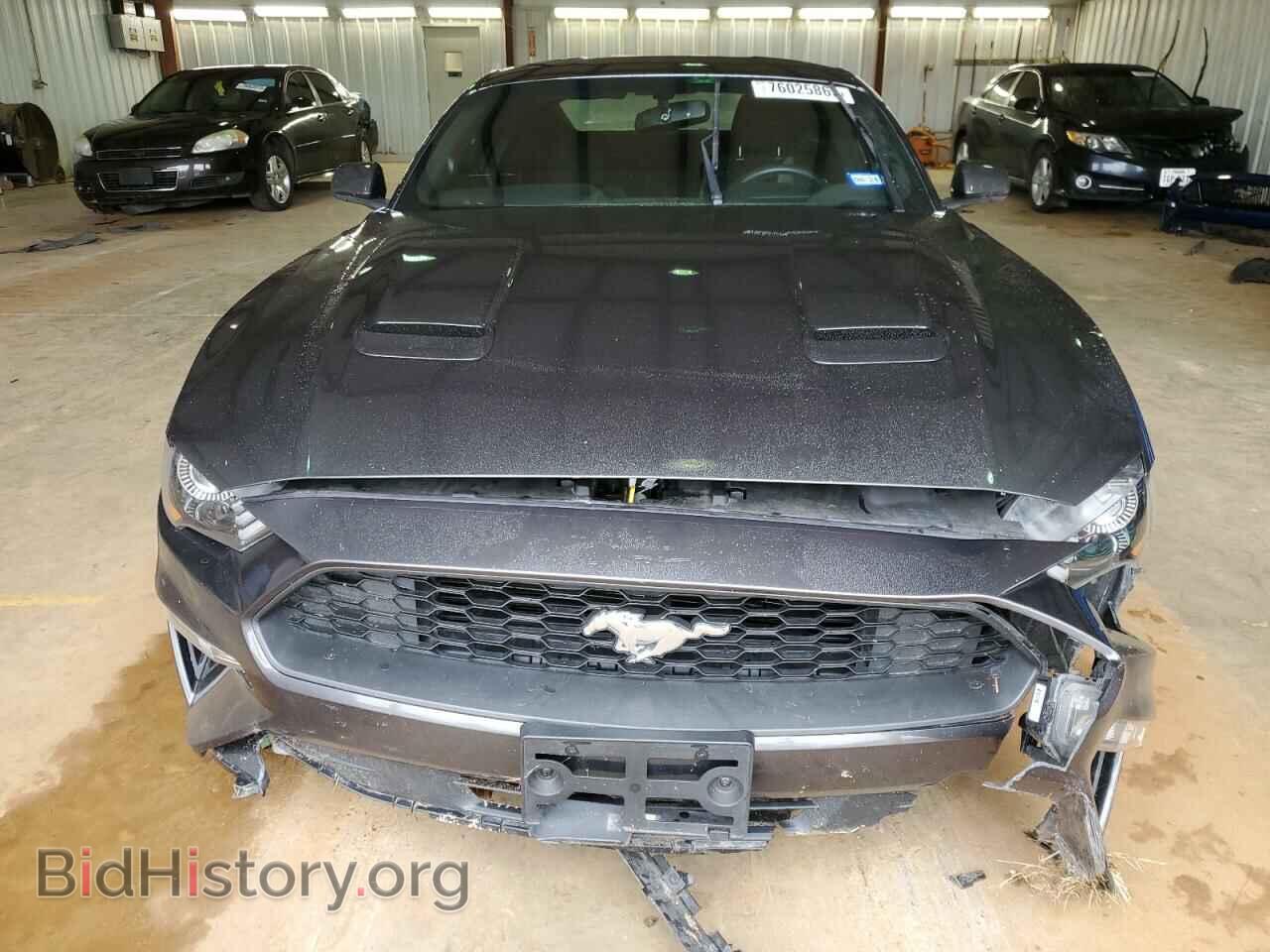 2019 FORD ALL Models - VIN: 1FA6P8TH9K5202045 - Фото 5