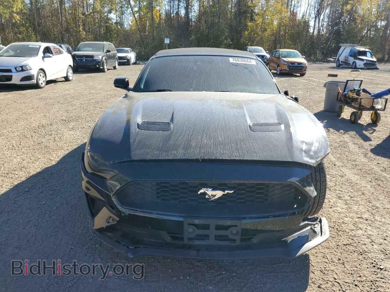 2019 FORD ALL Models - VIN: 1FATP8UH1K5144983 - Фото 5