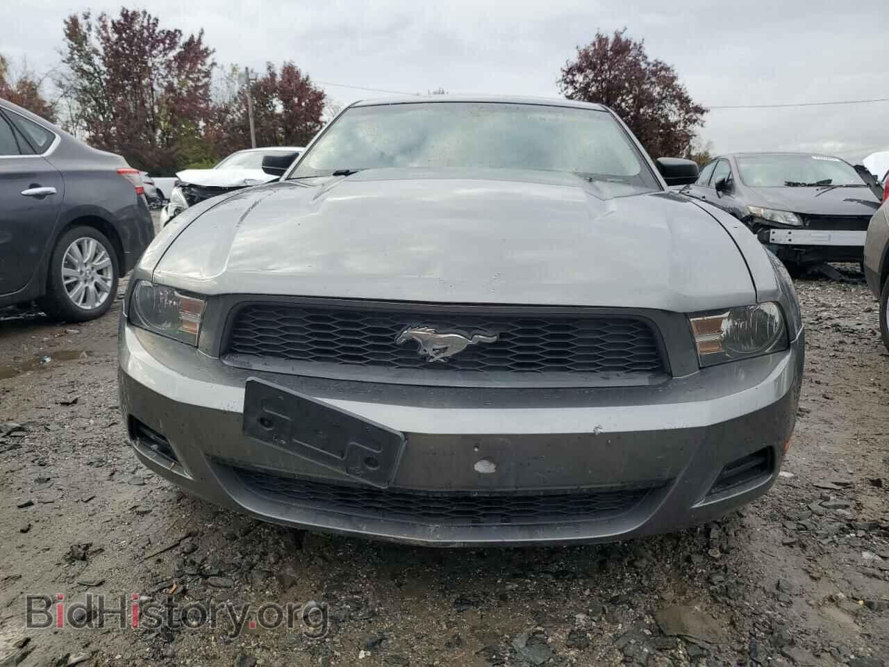 2010 FORD ALL Models - VIN: 1ZVBP8AN4A5104005 - Фото 5