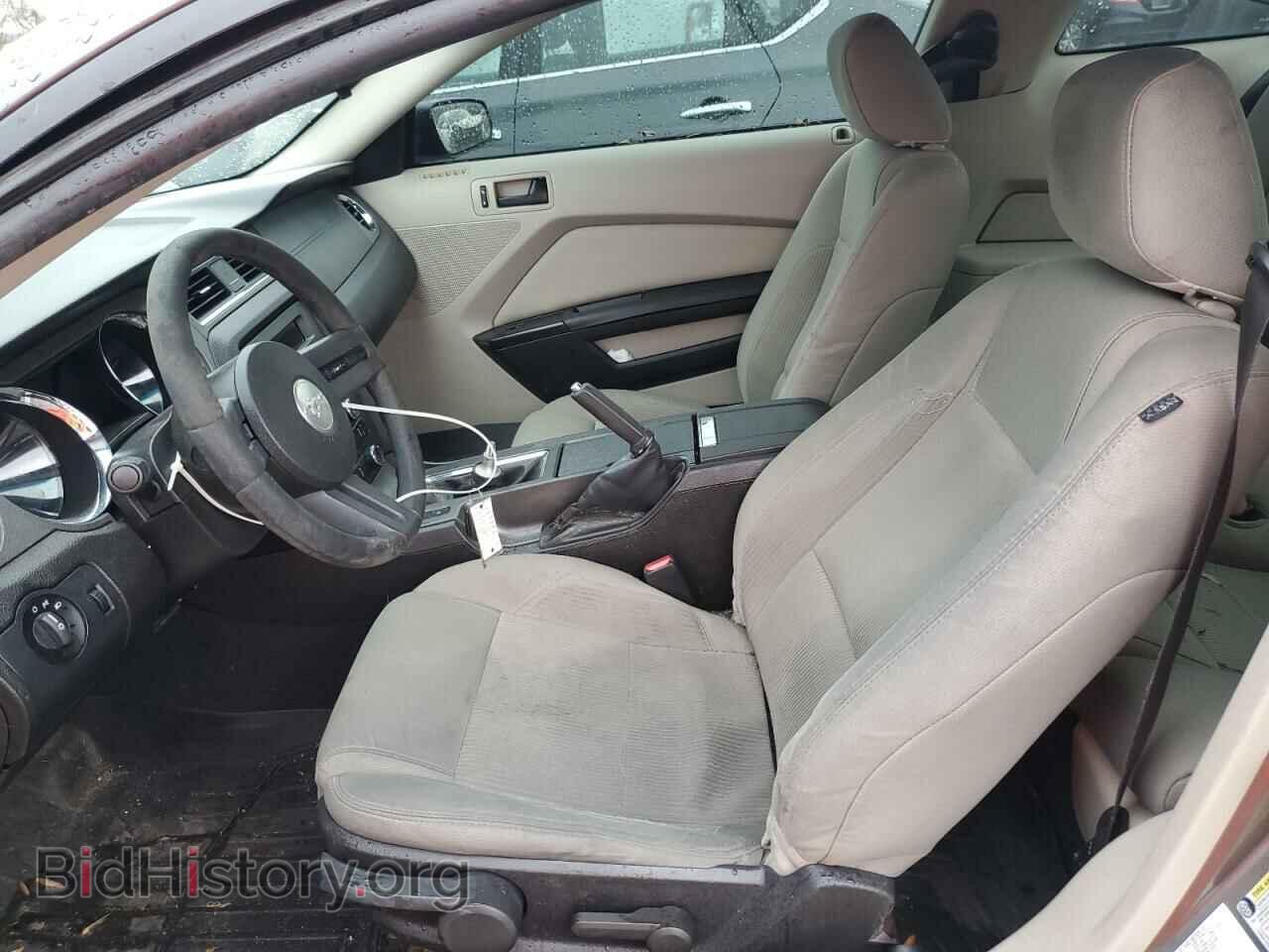 2010 FORD ALL Models - VIN: 1ZVBP8AN4A5104005 - Фото 7