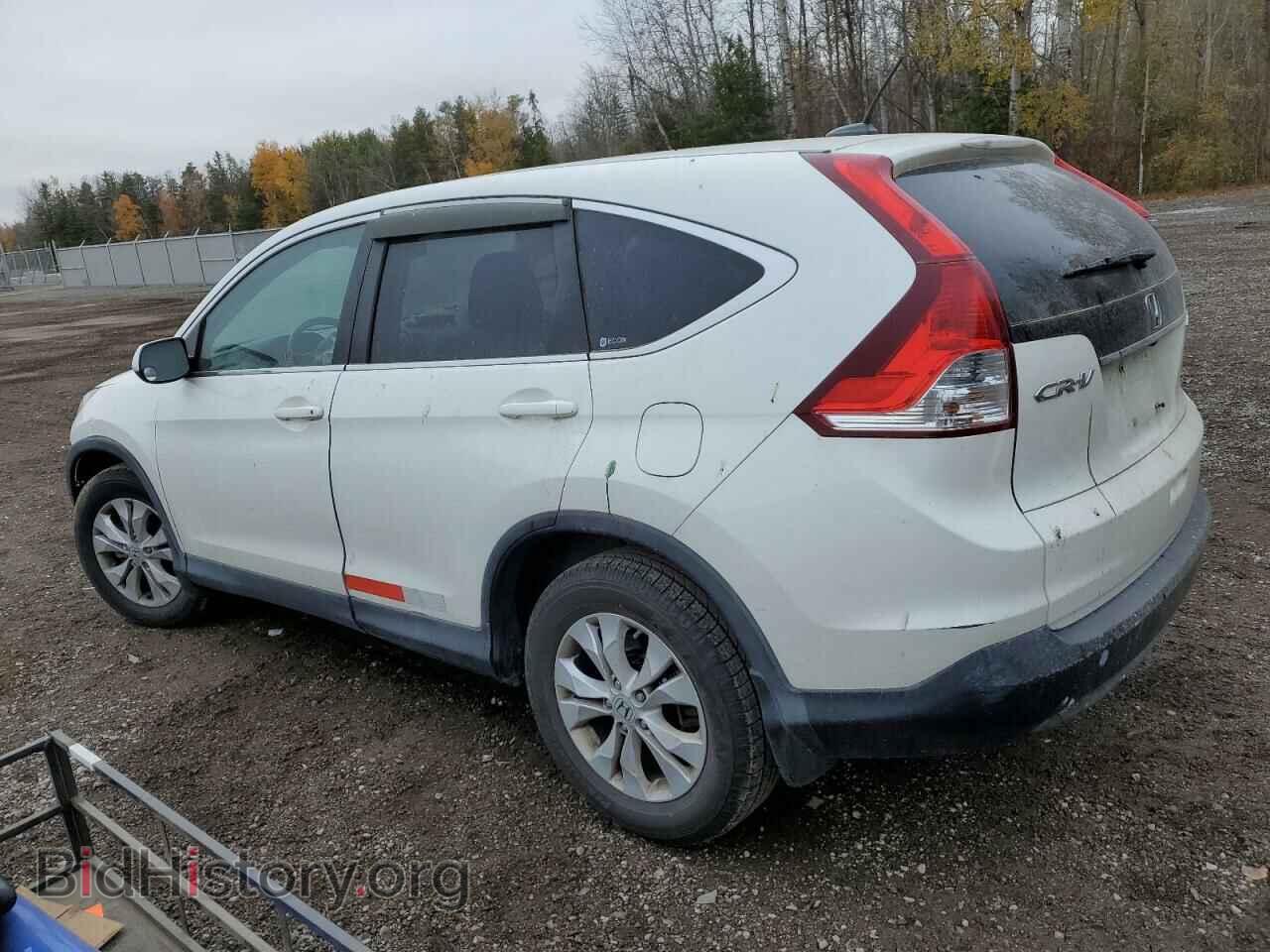 2012 HONDA CRV - VIN: 2HKRM4H76CH116024 - Фото 2