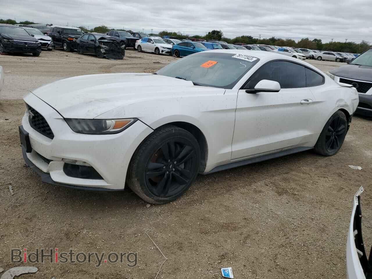 Фотография 1FA6P8TH7H5290845 - FORD ALL Models 2017