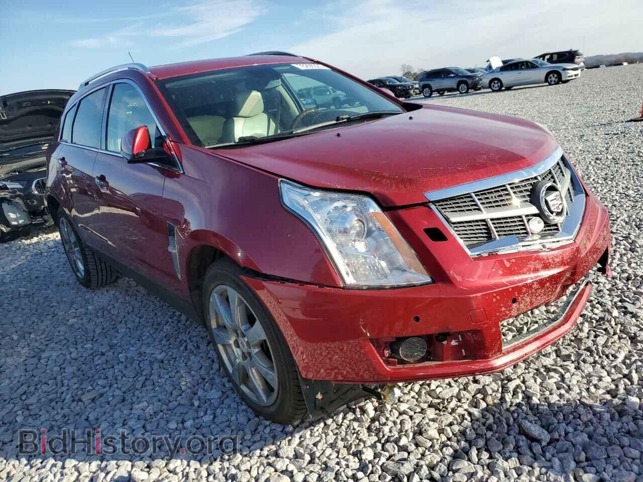 2011 CADILLAC SRX - VIN: 3GYFNFEY5BS565265 - Фото 4