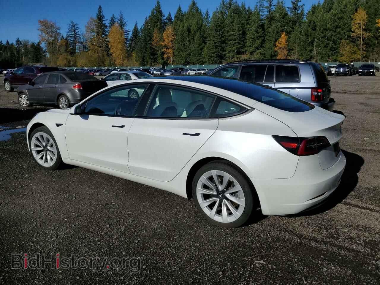 2021 TESLA MODEL 3 - VIN: 5YJ3E1EA5MF994383 - Photo 2