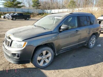 2011 Jeep COMPASS Compass SP, серый — VIN 1J4NF1FB5BD255445, Copart
