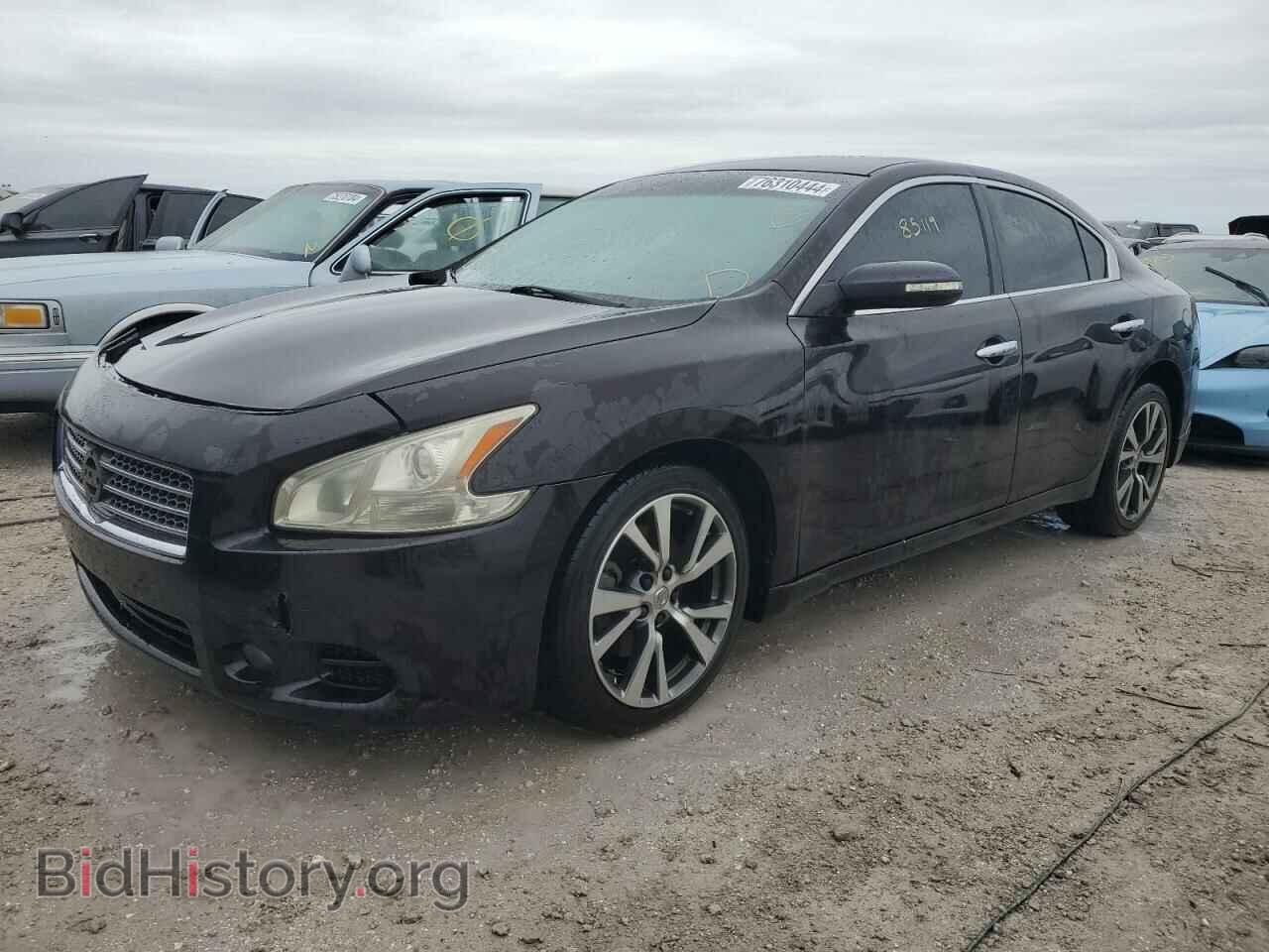 Фотография 1N4AA5AP5BC857755 - NISSAN MAXIMA 2011