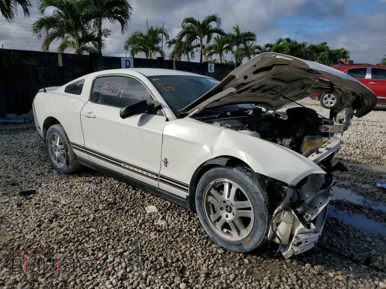 2010 FORD ALL Models - VIN: 1ZVBP8AN8A5138531 - Фото 4