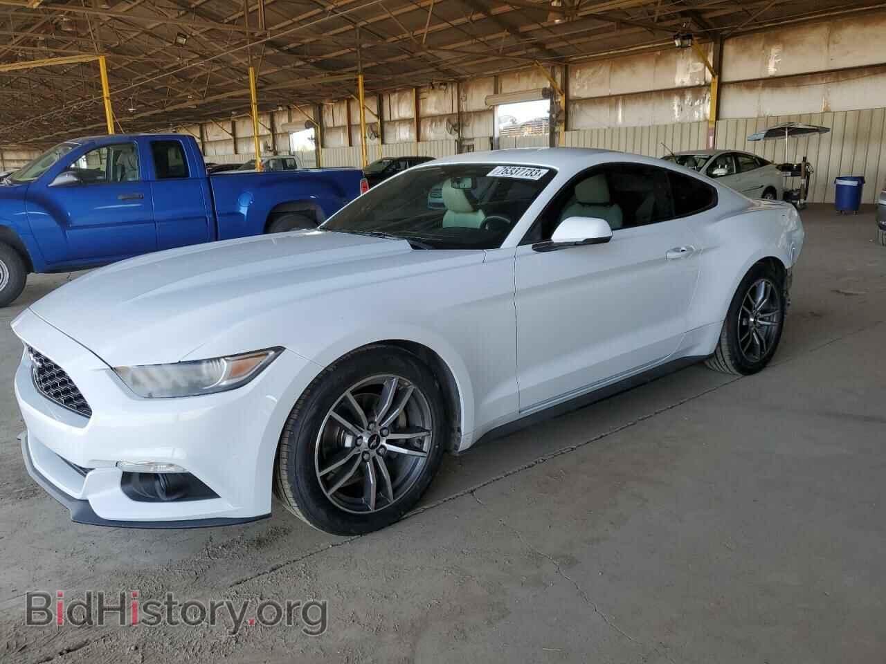 Photo 1FA6P8TH4H5307391 - FORD ALL Models 2017