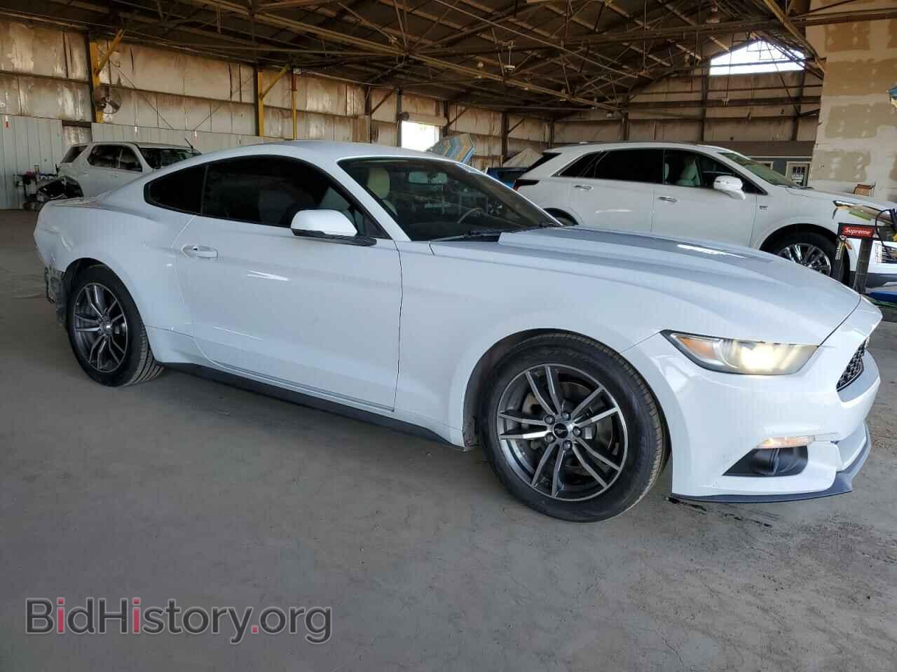 2017 FORD ALL Models - VIN: 1FA6P8TH4H5307391 - Фото 4