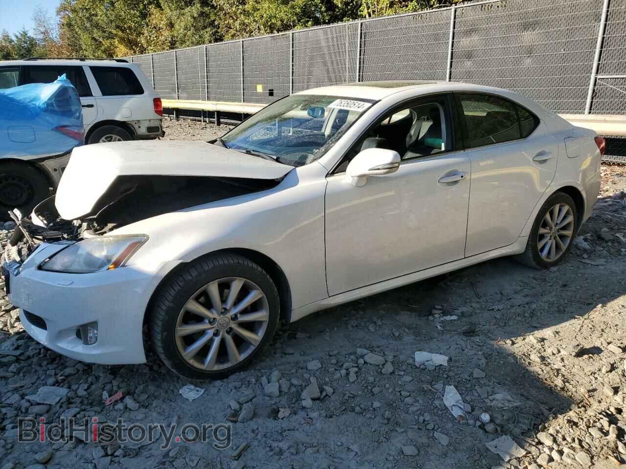 Фотография JTHCK262495031214 - LEXUS IS 2009