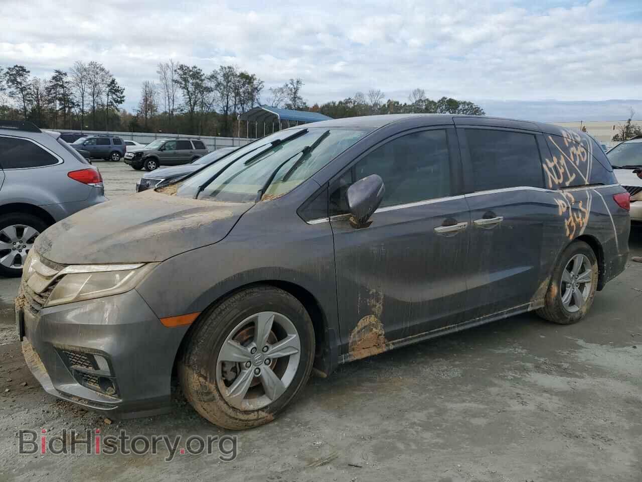 Photo 5FNRL6H55KB096830 - HONDA All Models 2019