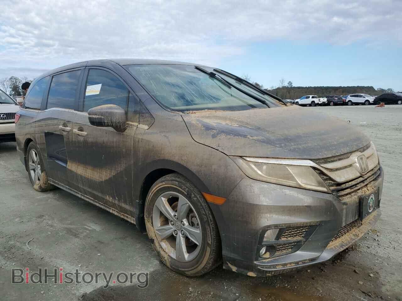 2019 HONDA All Models - VIN: 5FNRL6H55KB096830 - Photo 4