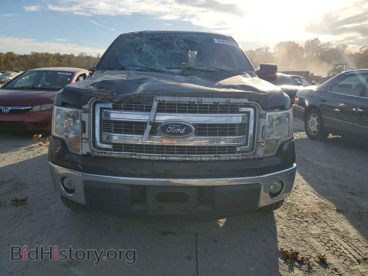2013 FORD F-150 - VIN: 1FTFX1CT0DFD00206 - Фото 5
