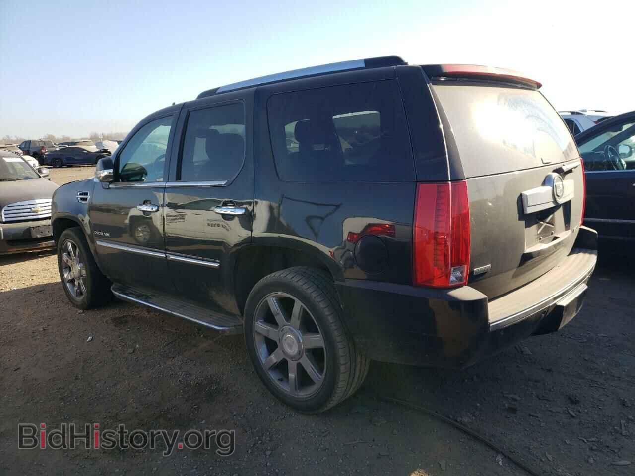 2010 CADILLAC ESCALADE - VIN: 1GYUKAEF4AR109874 - Фото 2