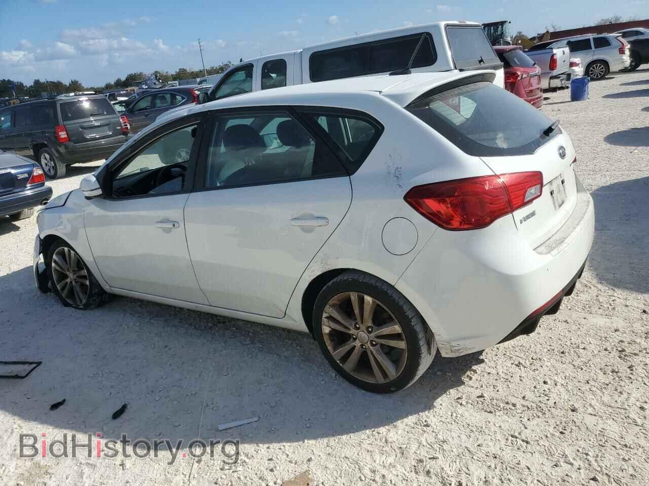 2013 KIA FORTE - VIN: KNAFW5A32D5728603 - Фото 2