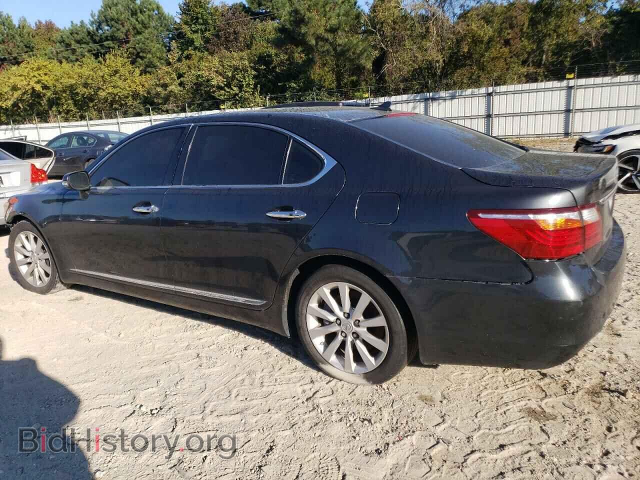 2011 LEXUS LS460 - VIN: JTHDL5EF3B5002963 - Фото 2