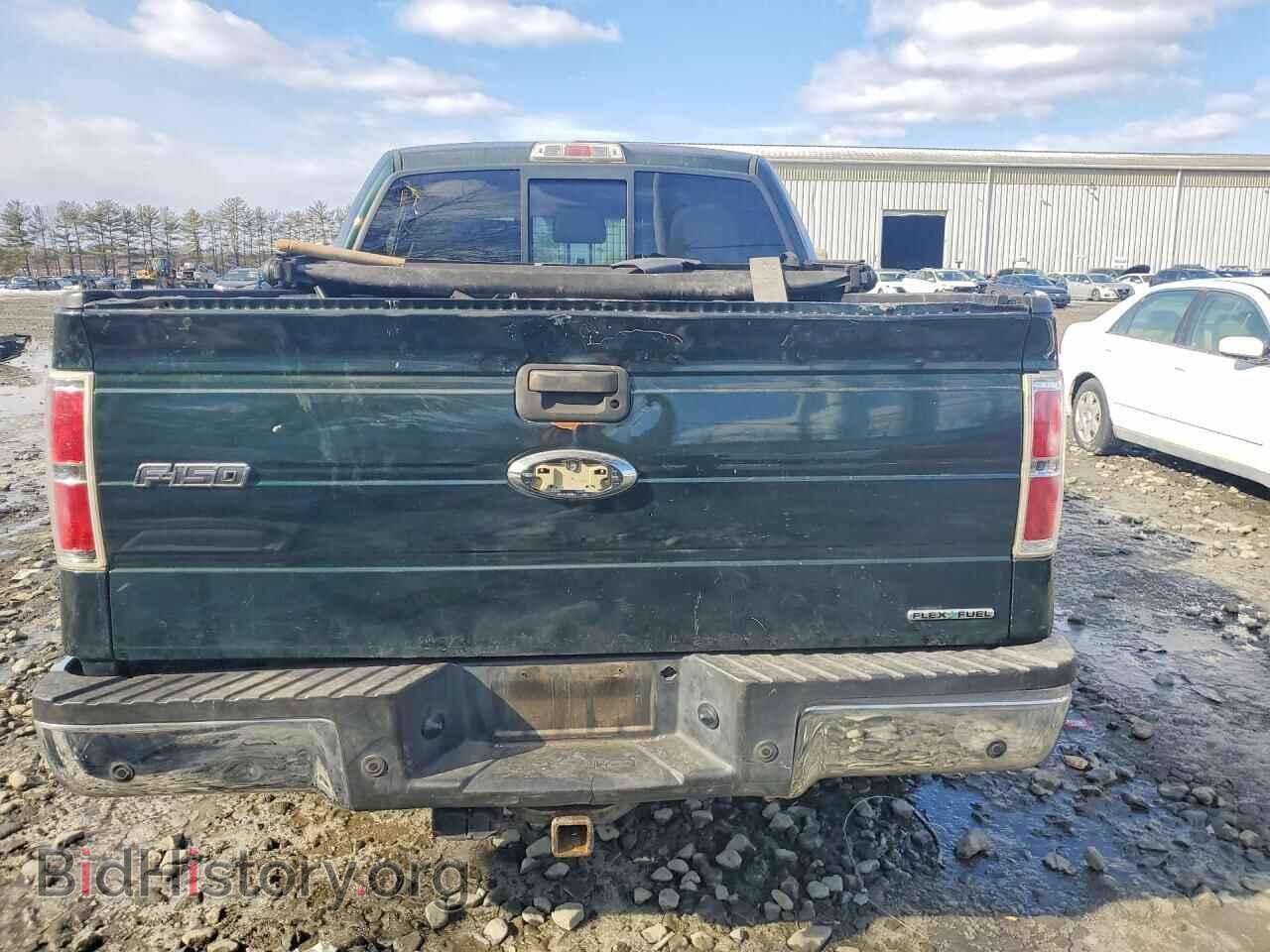 2013 FORD F-150 - VIN: 1FTFW1EF7DFB41193 - Фото 6