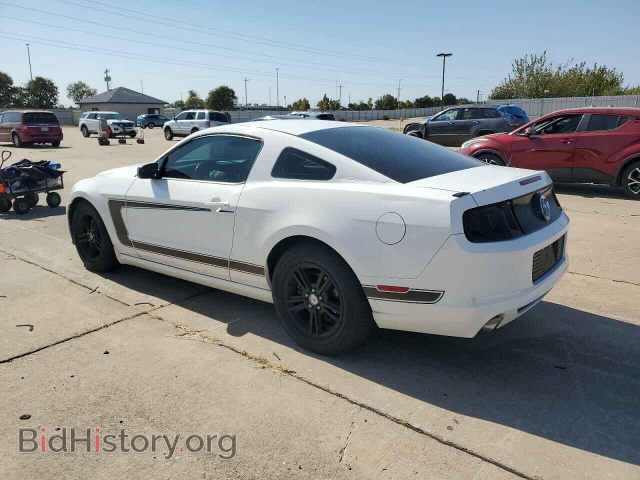 2013 FORD ALL Models - VIN: 1ZVBP8AMXD5271951 - Фото 2