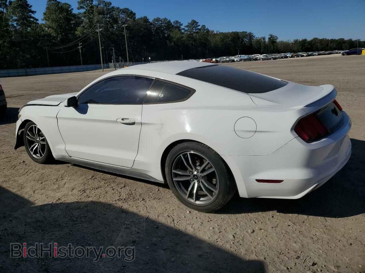 2017 FORD ALL Models - VIN: 1FA6P8TH4H5276434 - Фото 2