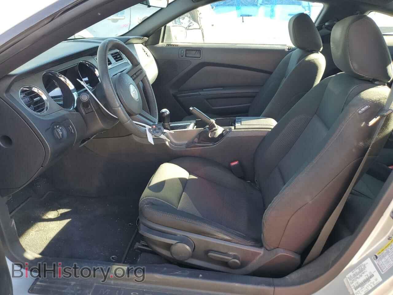 2010 FORD ALL Models - VIN: 1ZVBP8AN4A5156038 - Фото 7