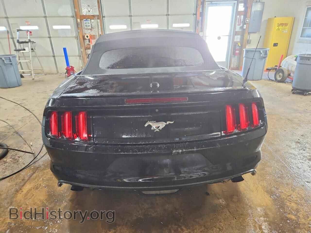 2017 FORD ALL Models - VIN: 1FATP8UH4H5308008 - Photo 6