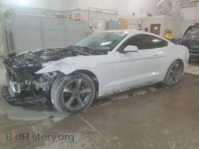 2015 Ford ALL MODELS, белый — VIN 1FA6P8TH1F5303621, Copart