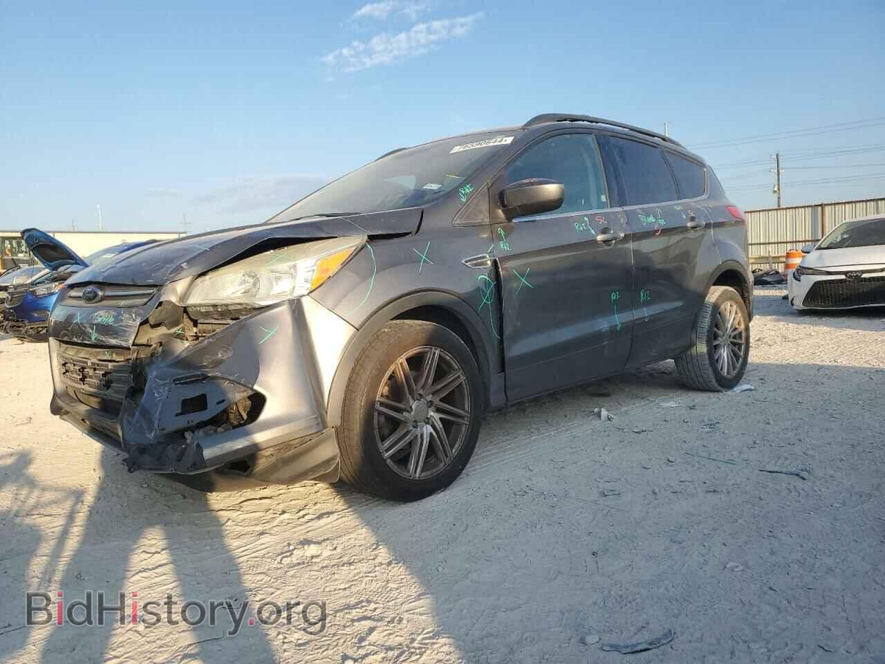 Photo 1FMCU0GX9DUC13981 - FORD ESCAPE 2013