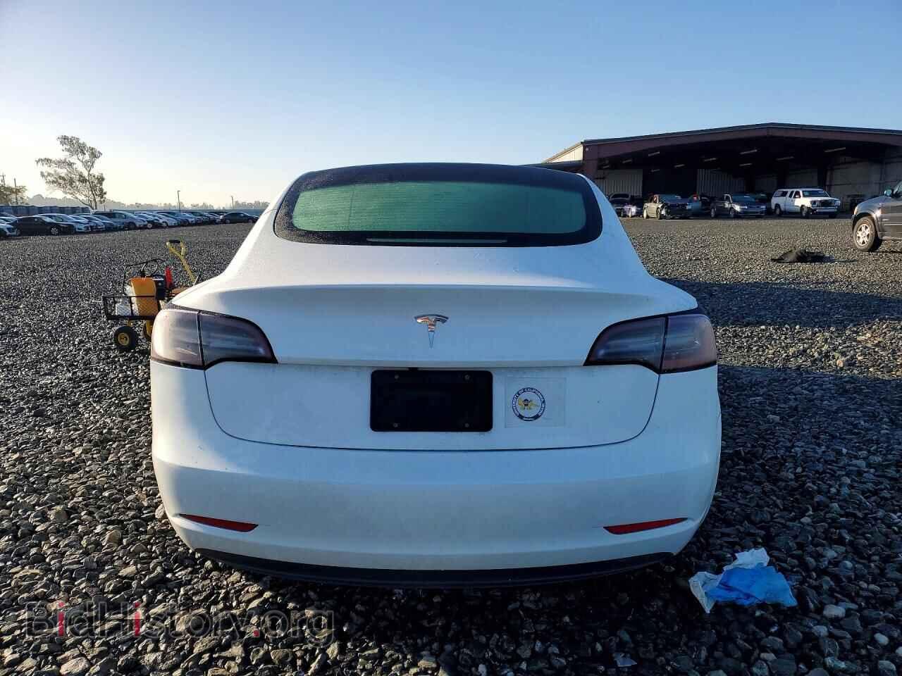 2023 TESLA MODEL 3 - VIN: 5YJ3E1EA8PF487594 - Photo 6