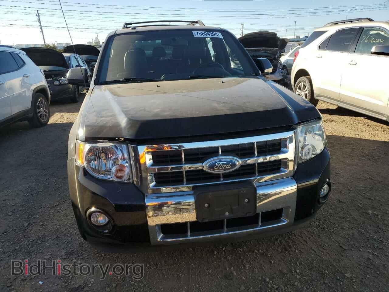 2010 FORD ESCAPE - VIN: 1FMCU9EG0AKB01519 - Фото 5
