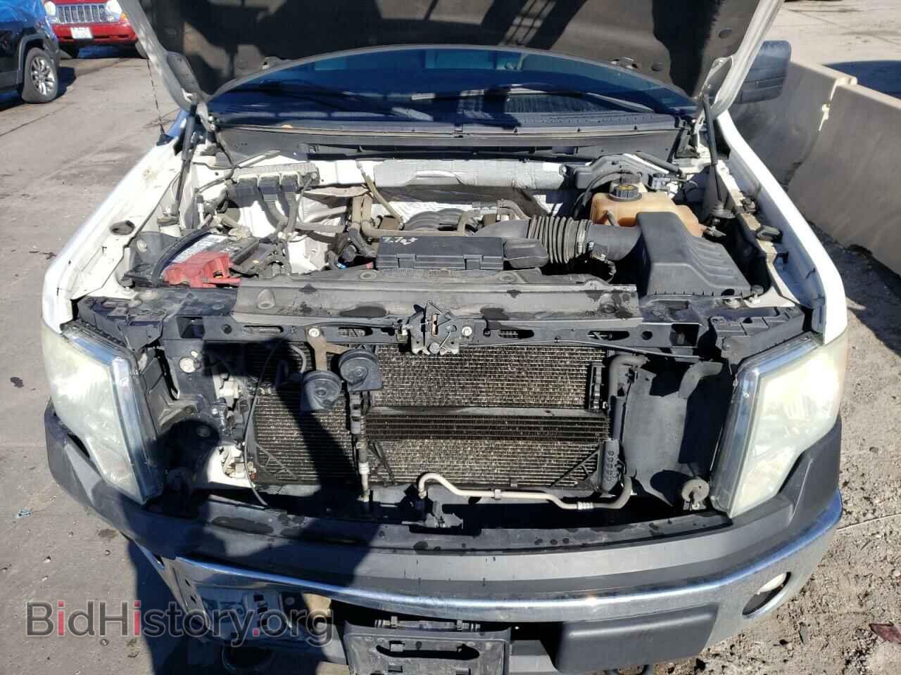 2013 FORD F-150 - VIN: 1FTFX1EF1DFC06245 - Фото 11