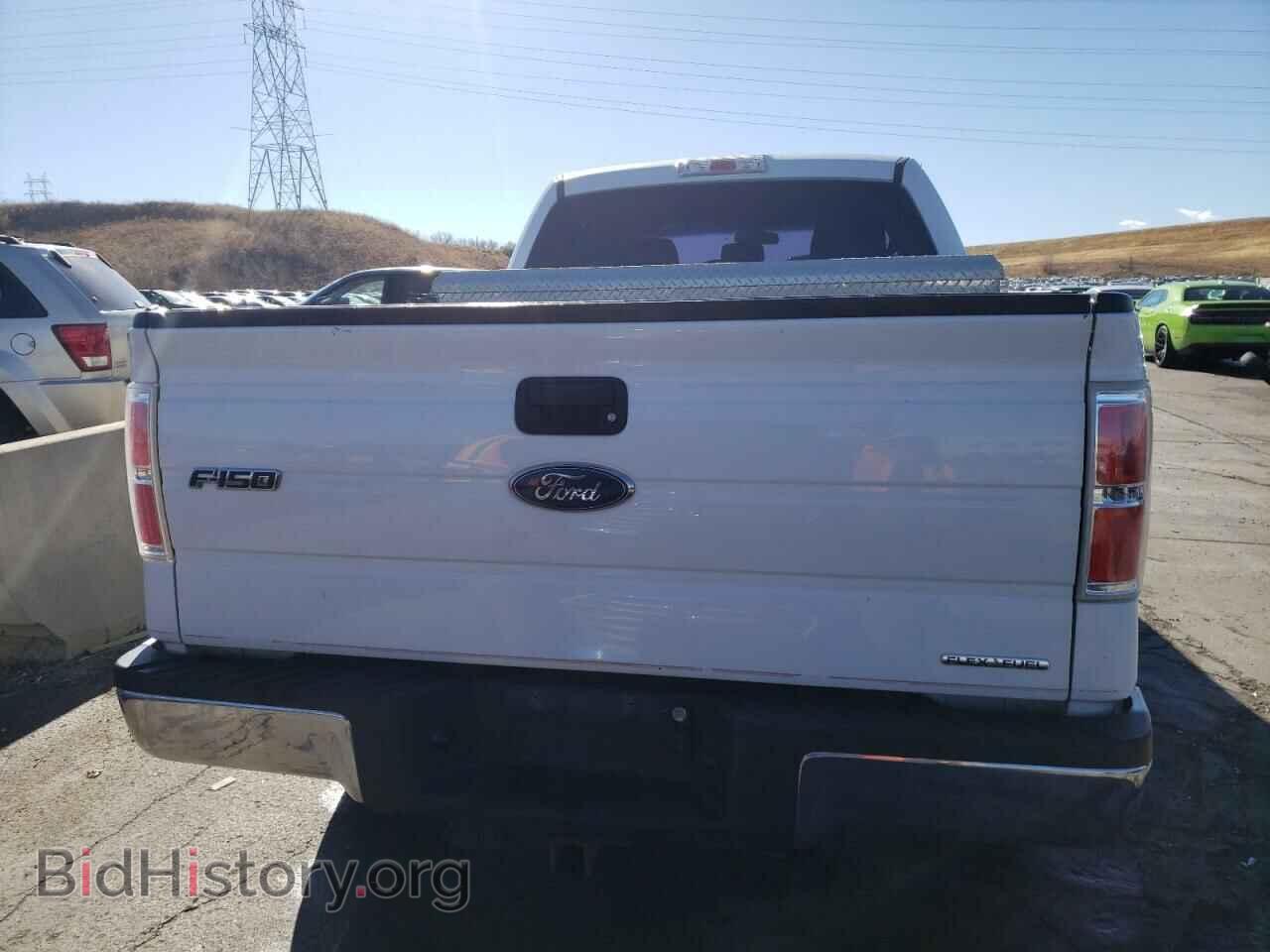 2013 FORD F-150 - VIN: 1FTFX1EF1DFC06245 - Фото 6