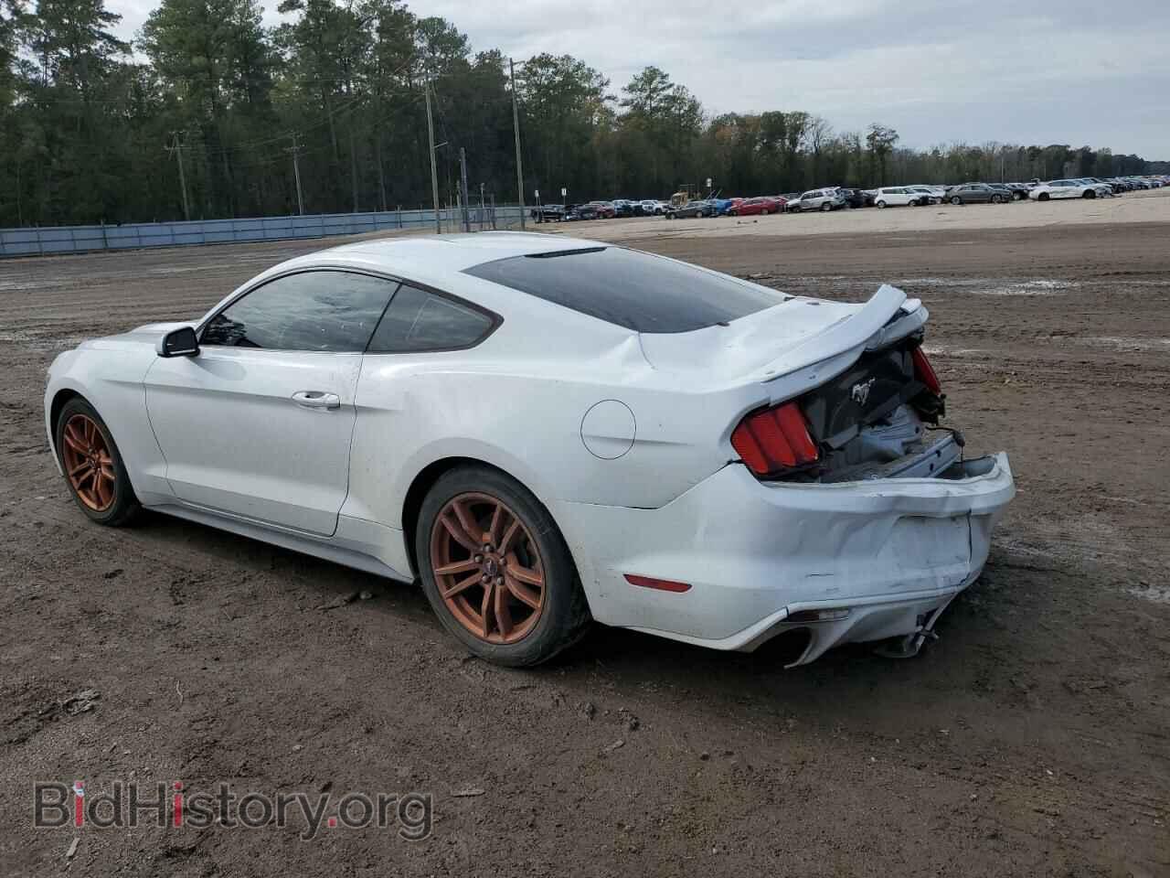 2016 FORD ALL Models - VIN: 1FA6P8TH8G5251048 - Фото 2