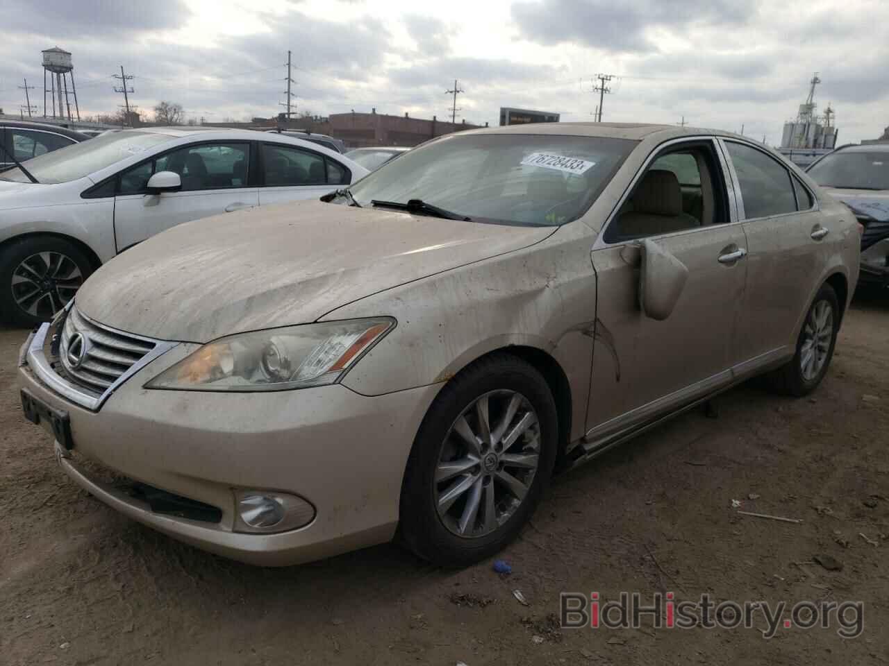 Фотография JTHBK1EGXA2374683 - LEXUS ES350 2010