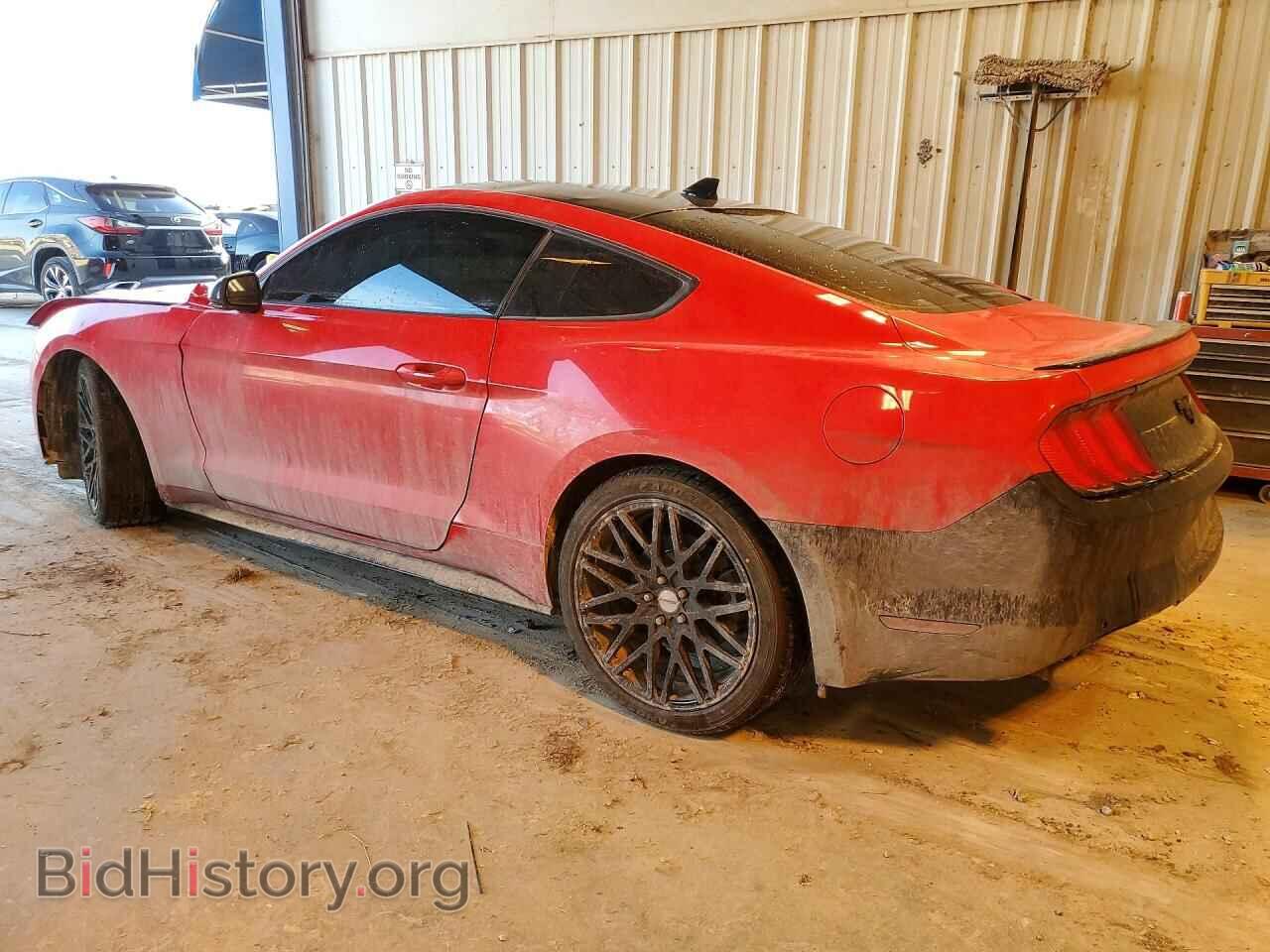 2021 FORD ALL Models - VIN: 1FA6P8TH5M5146429 - Photo 2