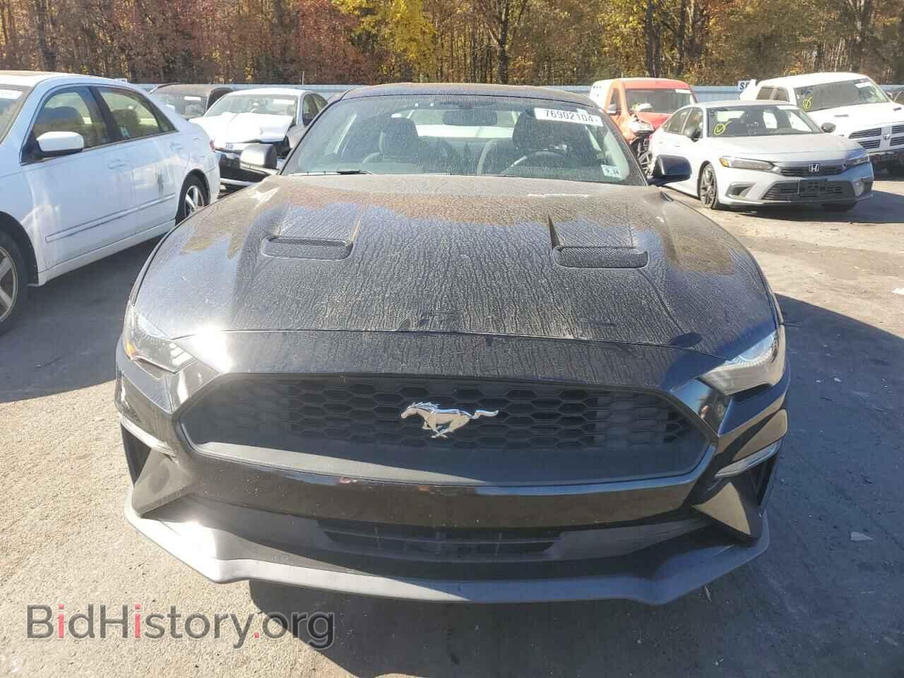 2019 FORD ALL Models - VIN: 1FA6P8THXK5199186 - Фото 5