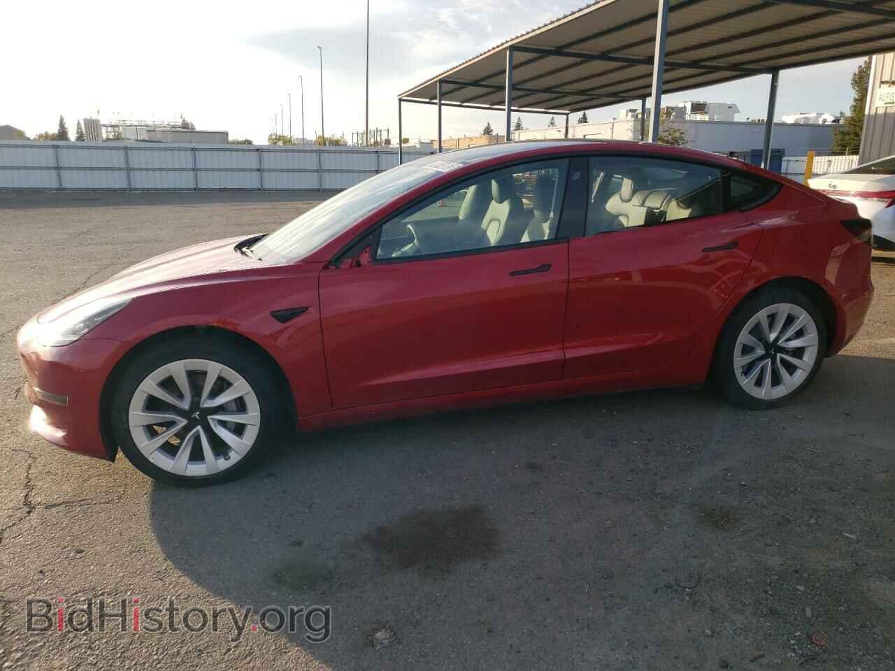 Фотография 5YJ3E1EA6PF456618 - TESLA MODEL 3 2023