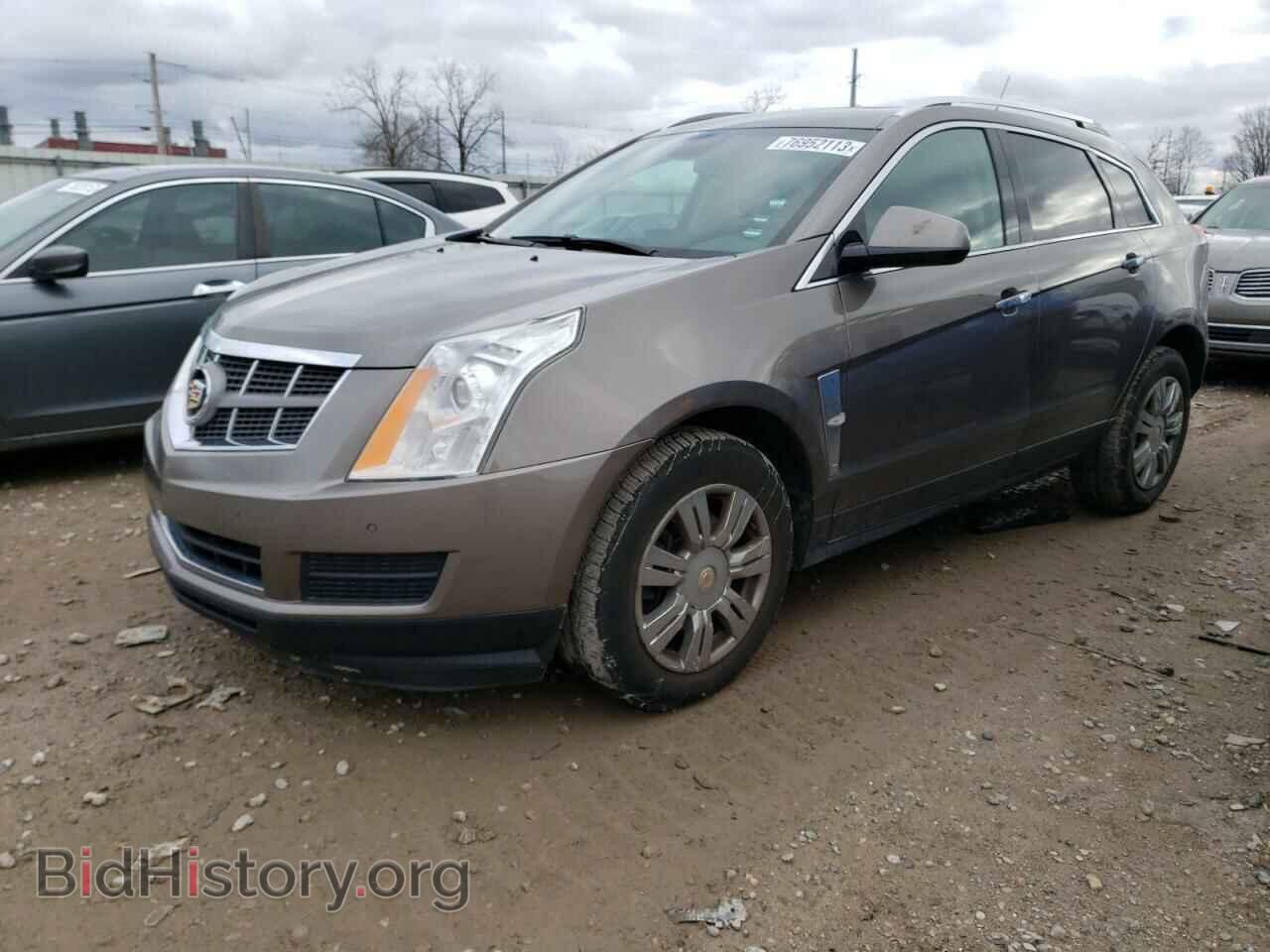 Фотография 3GYFNDEY4BS674532 - CADILLAC SRX 2011