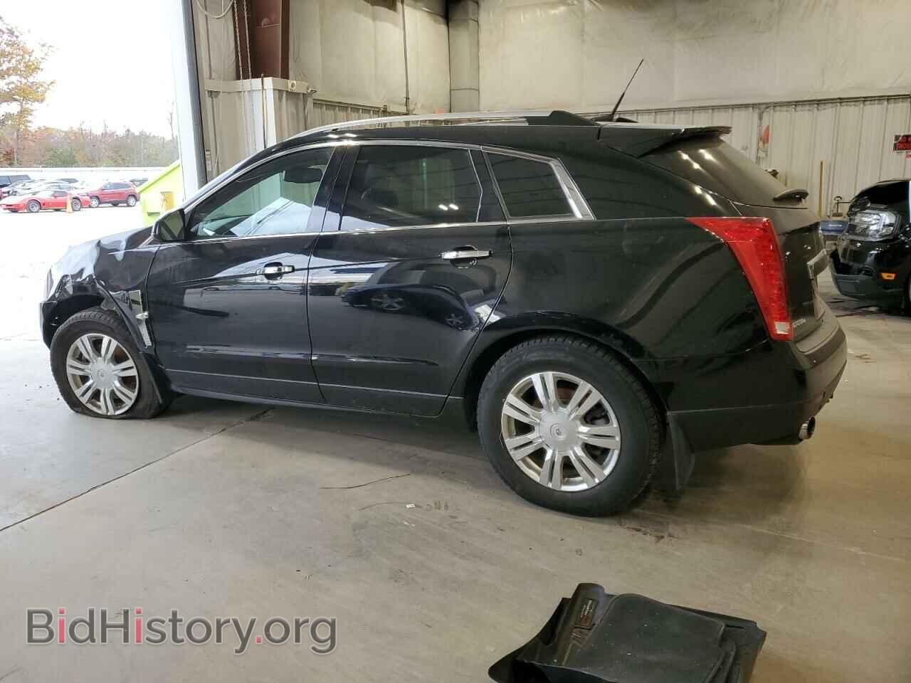 2011 CADILLAC SRX - VIN: 3GYFNDEY1BS670809 - Фото 2