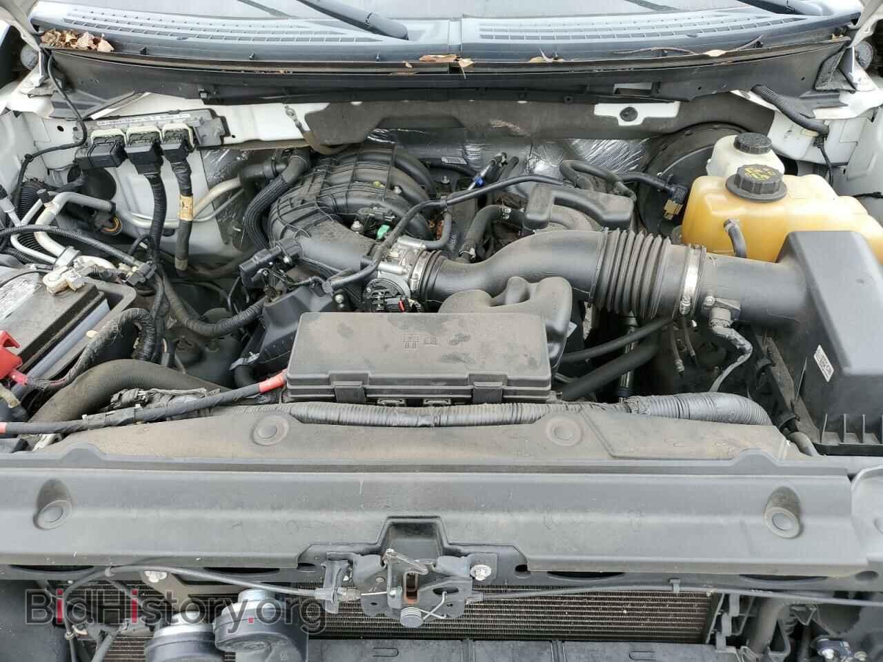 2013 FORD All Models - VIN: 1FTMF1CM7DFD36834 - Фото 11